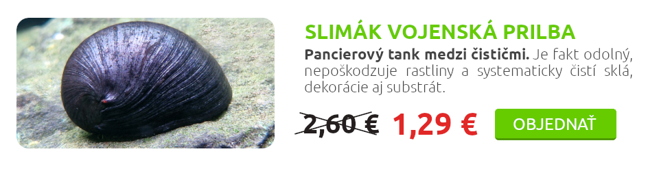 slimak-vojenska-prilba