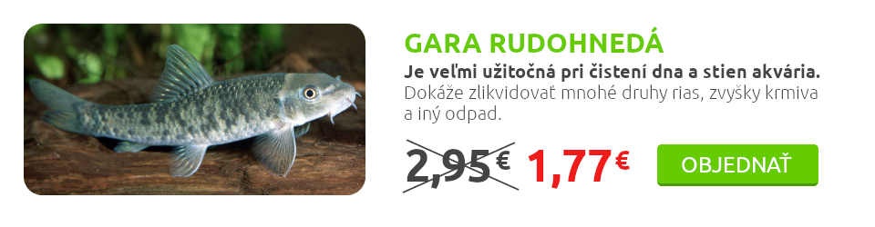 Gara rudohnedá