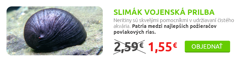Vojenská-prilba