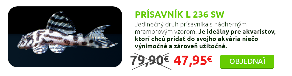 Prísavník L 236 SW