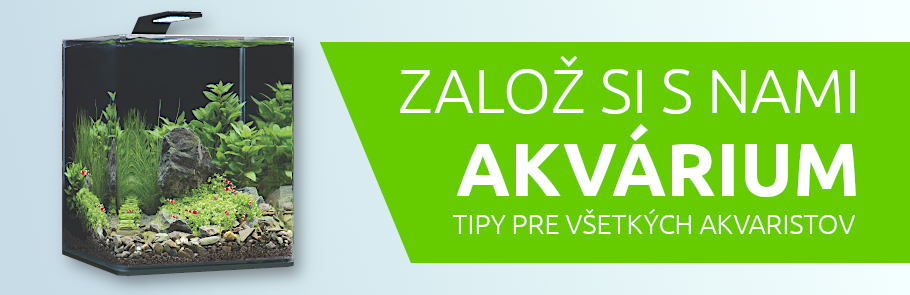 ako-si-zalozit-akvarium-tipy-navody-pomoc