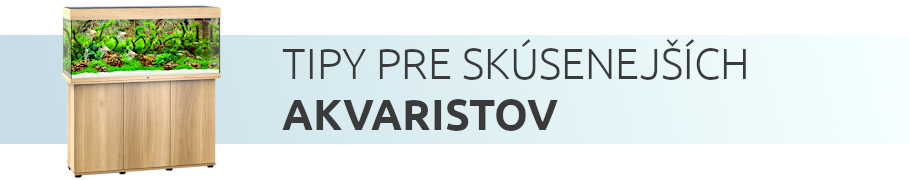 tipy-pre-skusenejsich-akvaristov