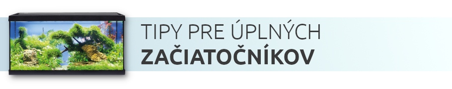 tipy-pre-uplnych-zaciatocnikov