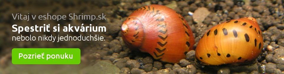 Vitaj v eshope Shrimp.sk - krevety, raky a slimáky do tvojho akvária Vitaj v eshope Shrimp.sk - krevety, raky a slimáky do tvojho akvária