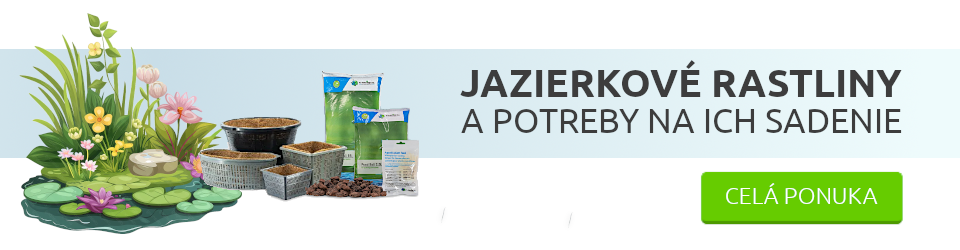 jazierkove-rastliny-a-potreby-na-ich-sadenie