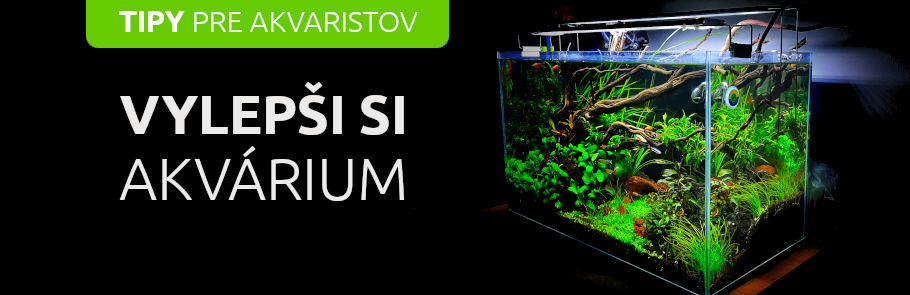 vylepsi-si-akvarium-tipy