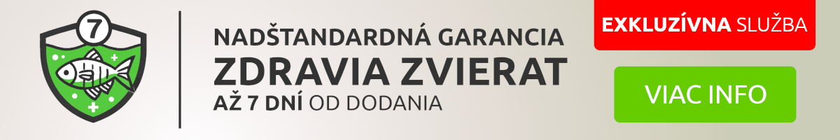 garancia-shrimp-akvaristika