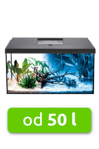 akvarium-od-50-l