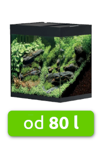 akvarium-od-80-l