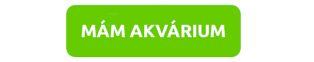 mam-akvarium