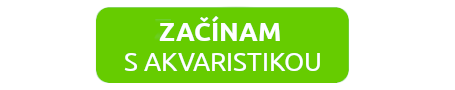zacinam-s-akvaristikou