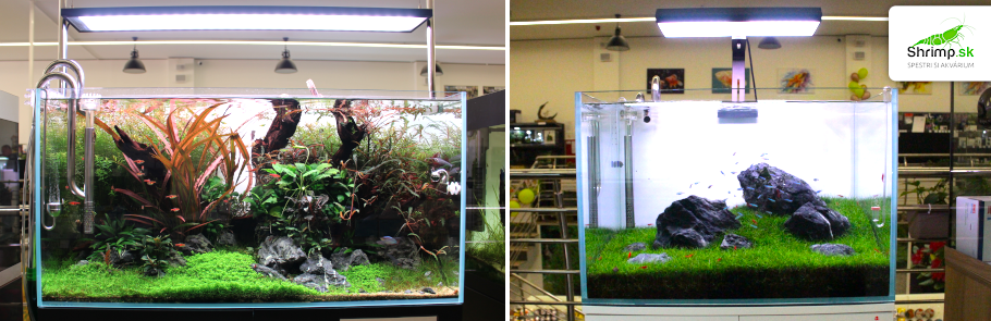 inspiracie-akvarium-tipy-pre-akvaria