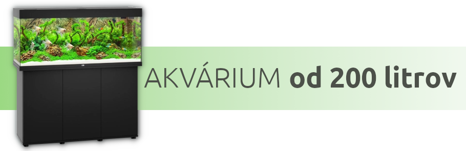 tipy-pre-akvarium-od-200-litrov