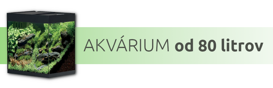 tipy-pre-akvarium-od-80-litrov