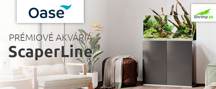 Aquascaping akváriá