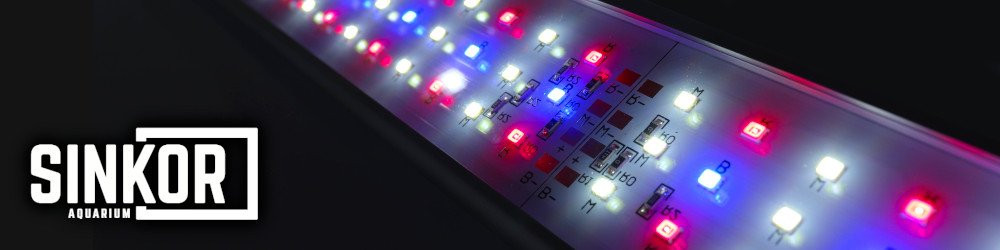 sinkor-osvetlenie-akvaria