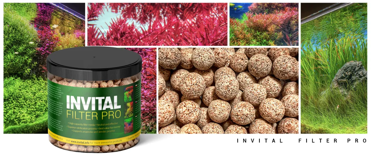 invital-filter-pro