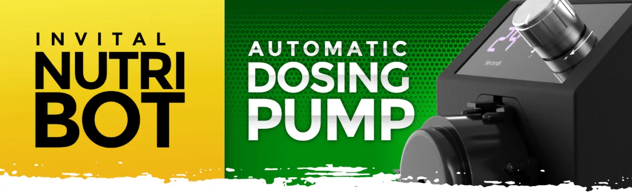 invital-nutribot