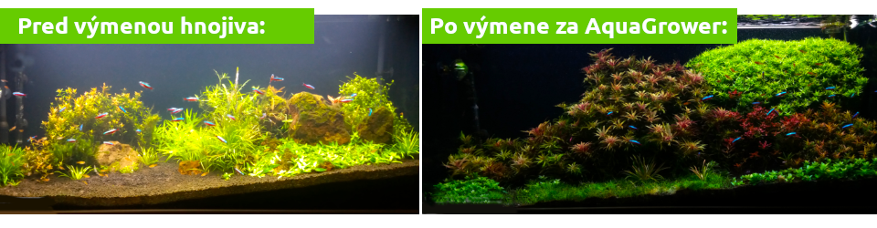 aquagrower-hnojivo