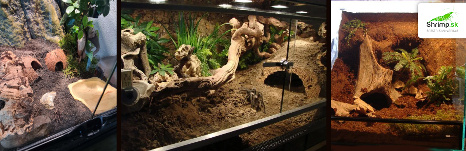 terarium-pre-tarantulu-vtackara-pavuka