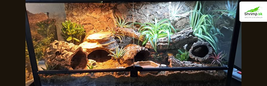 terarium-pre-gekoncika-nocneho