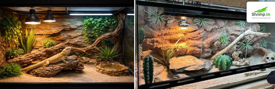 terarium-pre-agamu