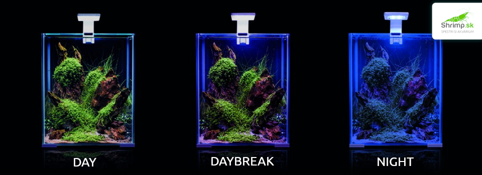 leddy-smart-plant-and-night-osvetlenie