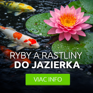 ryby-a-rastliny-do-jazierka