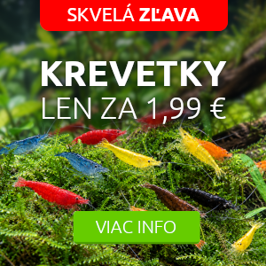 krevetky-do-akvaria-zlava
