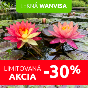 lekno-wanvisa-zlava