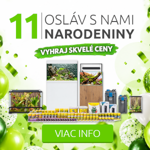 https://www.shrimp.sk/narodeniny-11