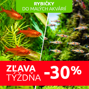 zlava-rybicky-do-maleho-akvaria