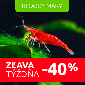 bloody-mary-zlava