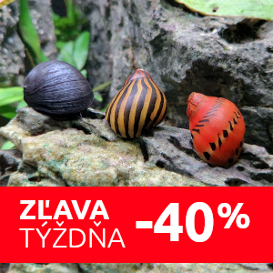 zlava-neritiny-slimaky-do-akvaria
