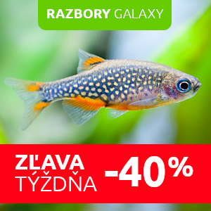 rybicky-do-akvaria-razbory