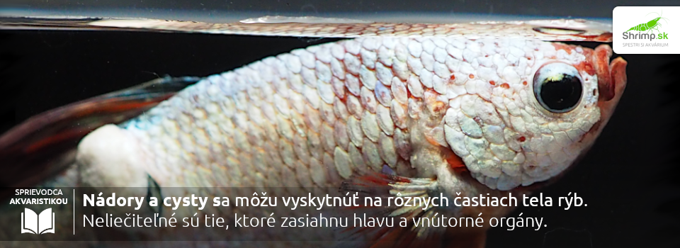 nadory-su-neliecitelne