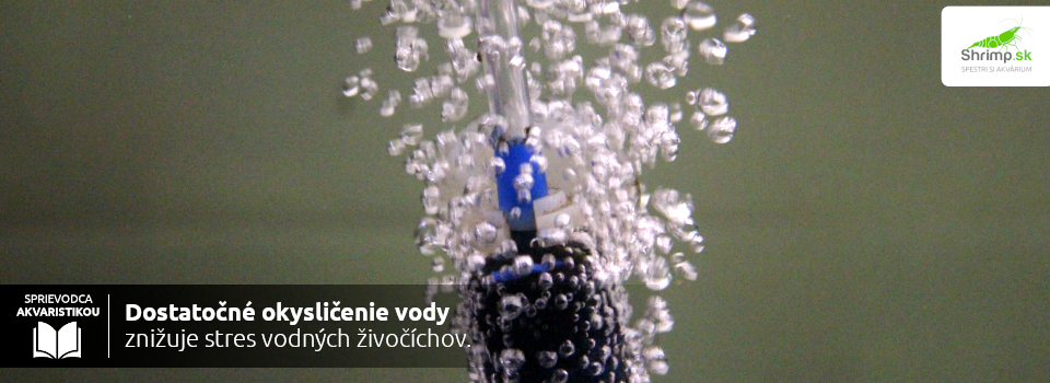 okyslicovanie-vody-v-akvariu