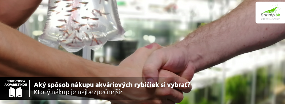 Nákup a predaj akváriových rybičiek