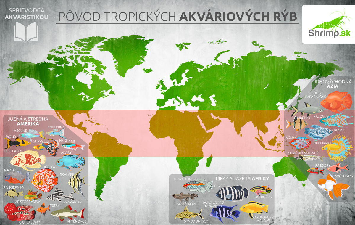 POVOD-AKVARIOVYCH-RYB-SVETOVA-MAPA
