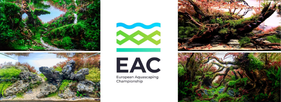 EAC