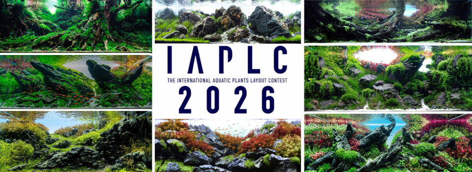 iaplc-2026-sutaz-aquascaping