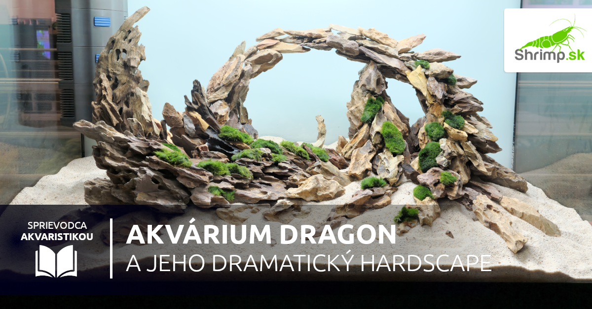 Akvárium Dragon