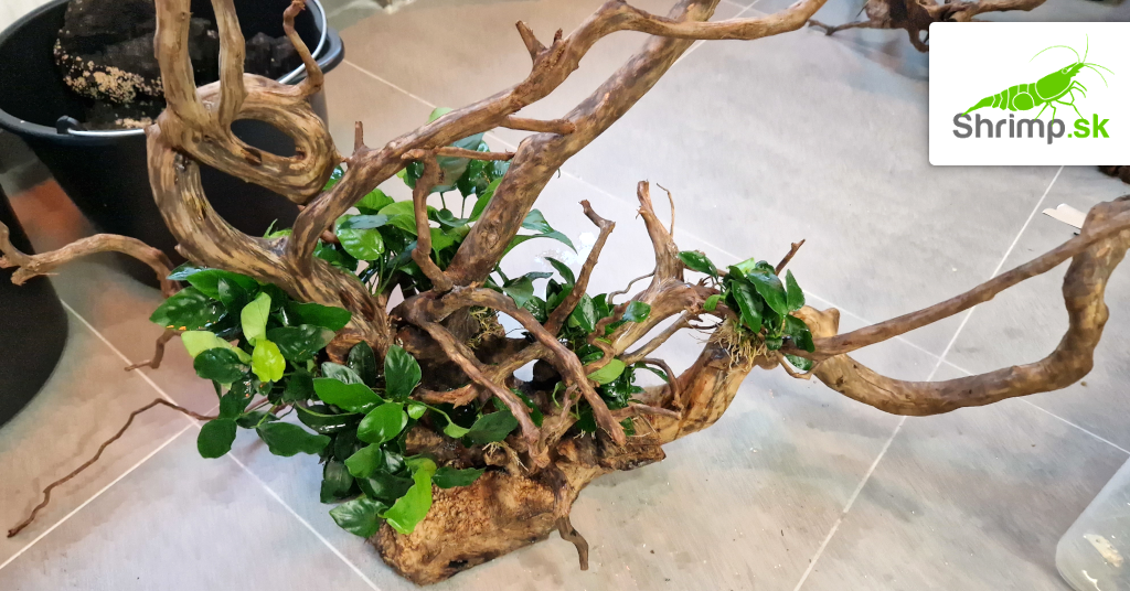 Hardscape