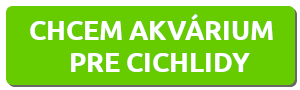 chcem-akvarium-pre-cichlidy