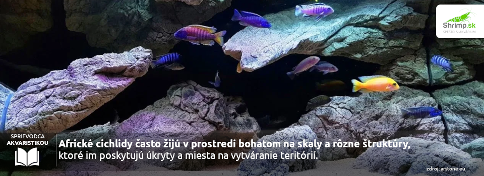 akvarium-pre-africke-cichlidy