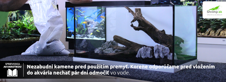 Kamene a korene