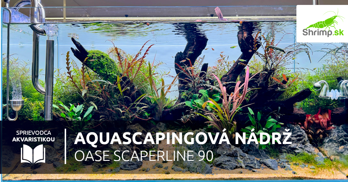 aquascaping-oase-akvarium