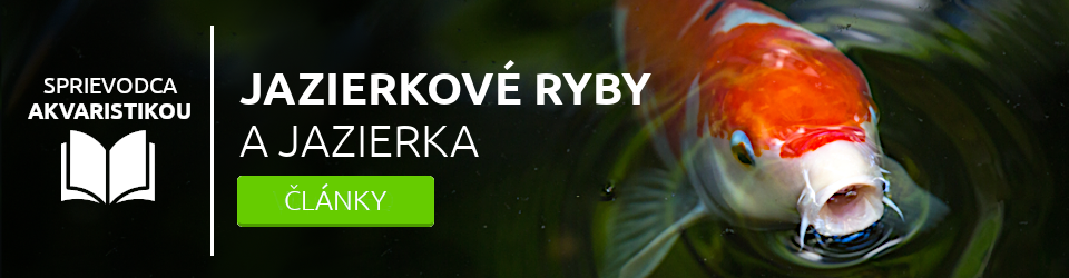 jazierkove-ryby-jazierko