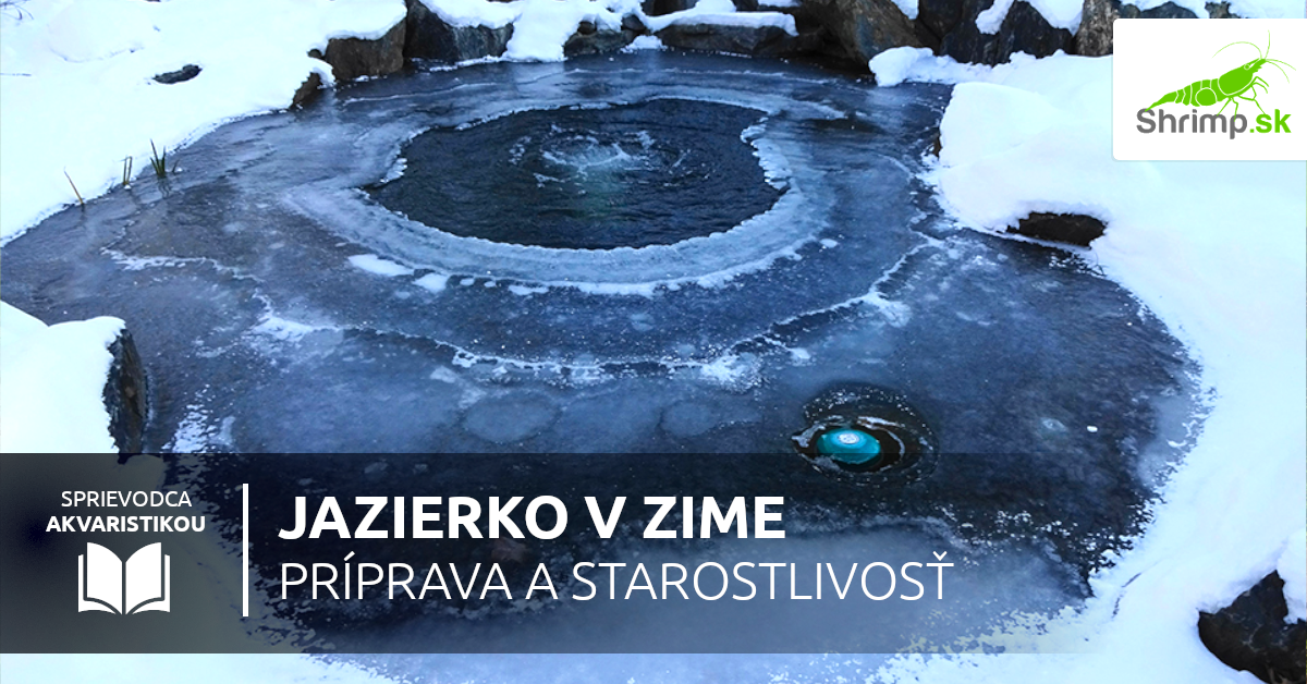 starostlivost-v-zime-zahradne-jazierko