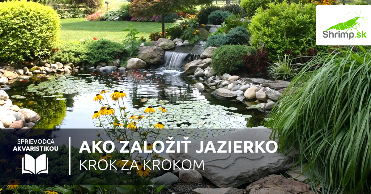 ako-zalozit-jazierko